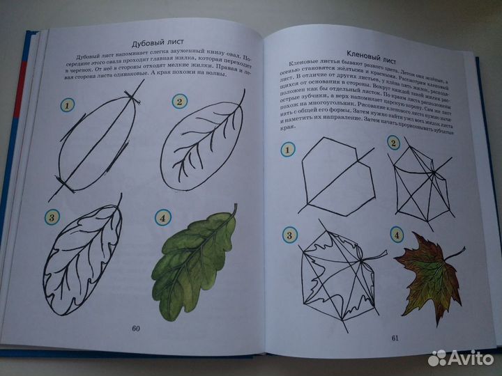 Учимся рисовать (Г.П.Шалаева)
