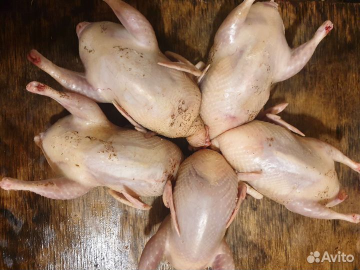 Перепелиные яйца