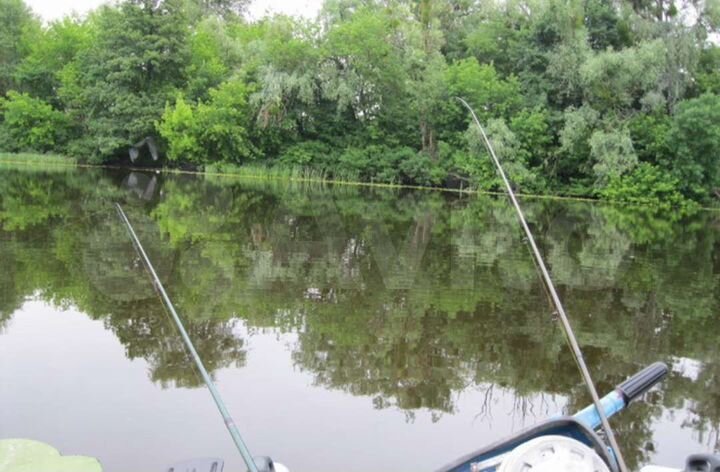 Участок 30 сот. (ИЖС)