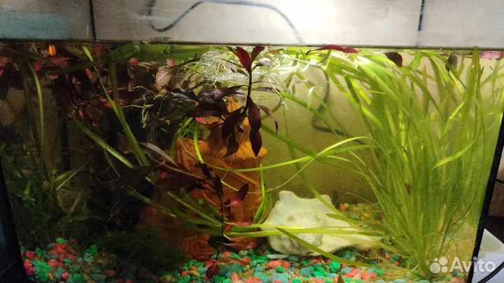 Украшение для аквариума