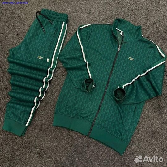 Спортивный костюм lacoste (Арт.79012)