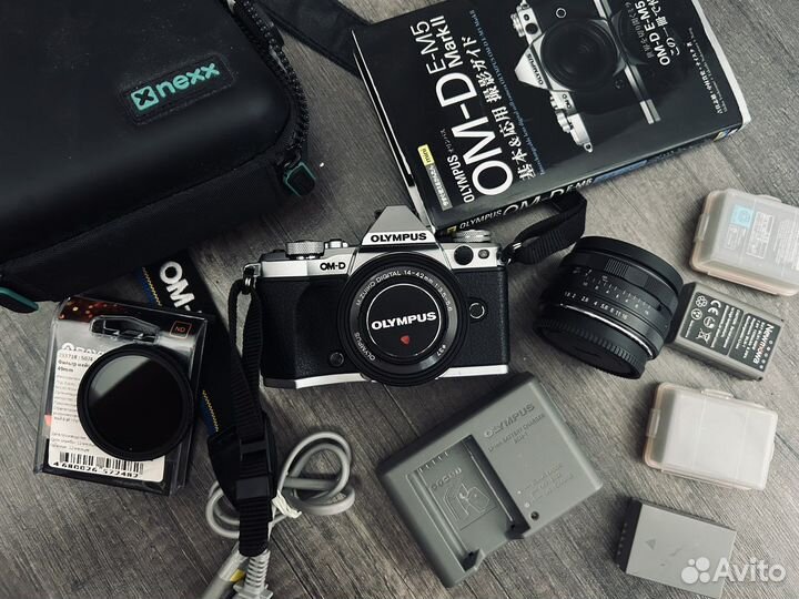 Olympus OMD-5 mark II