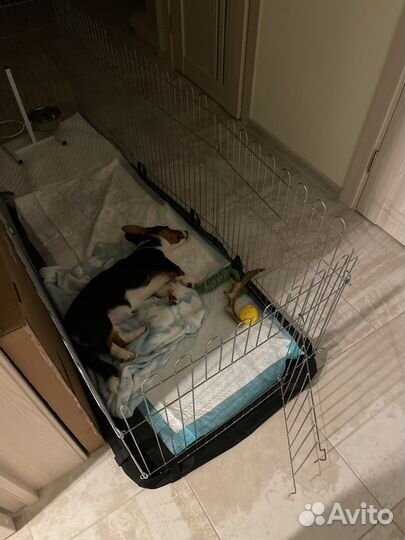 Вольер для собак в квартиру 8 секций