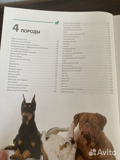 Книга собаки. Подарочная энциклопедия