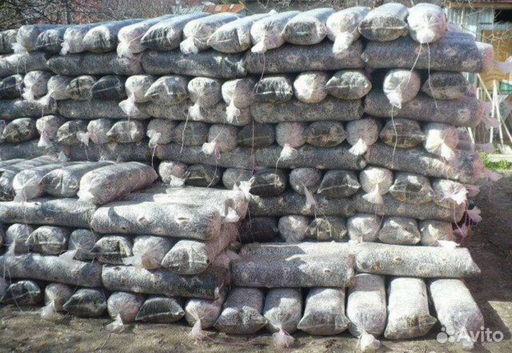 Отработанные грибные блоки вешенки