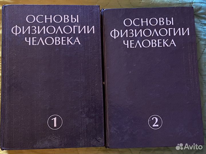 Основы физиологии человека