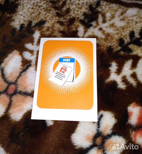 Комплект фото Гусейна-заде В Гостях У Берберовых