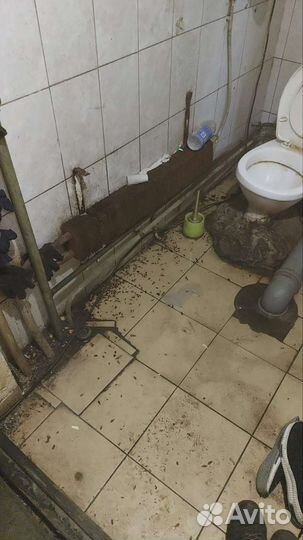 Уничтожение запаха, плесени, грибка, насекомых