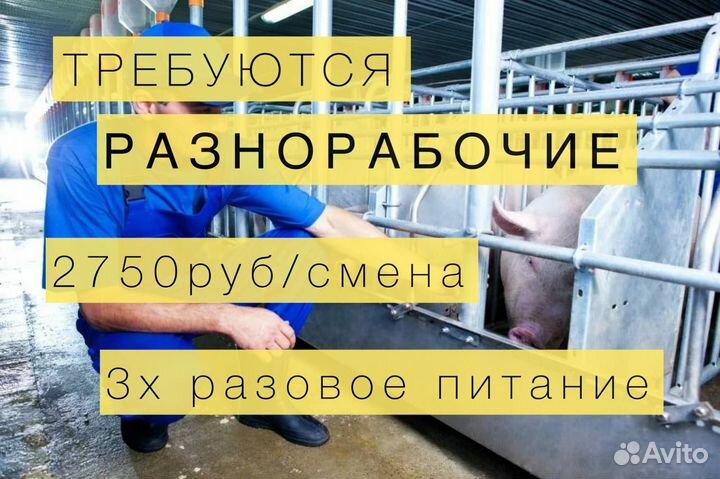 Разнорабочие с питанием и проживанием