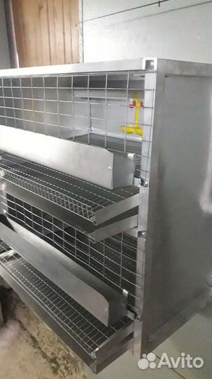 Клетка для перепелов