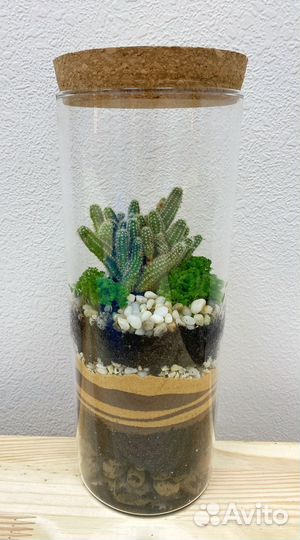Флорариумы в наличии и под заказ