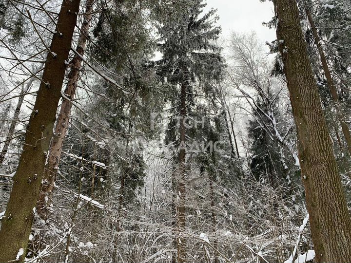 Участок 8 сот. (ИЖС)