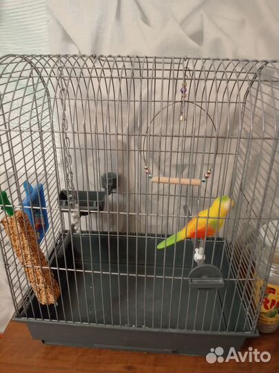 Продам клетку