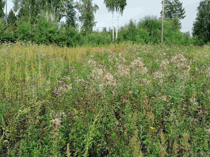 Участок 12 сот. (СНТ, ДНП)