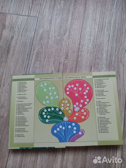 Учебник по биологии 11 класс. Теремов, Петросова