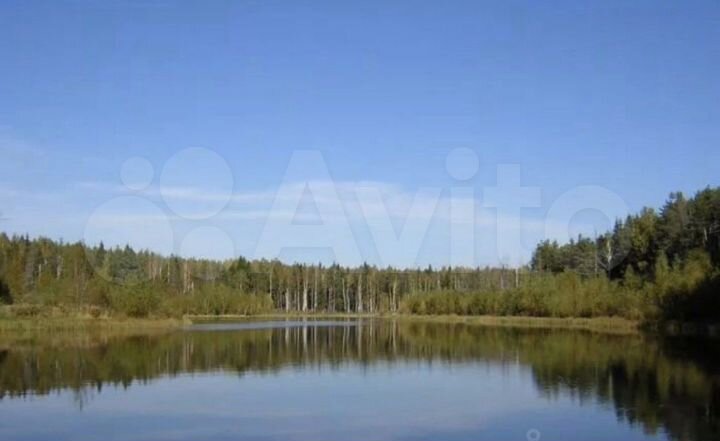 Участок 100 сот. (СНТ, ДНП)