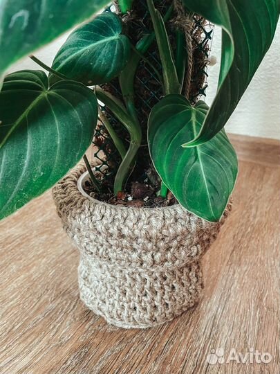 Тотем для растений