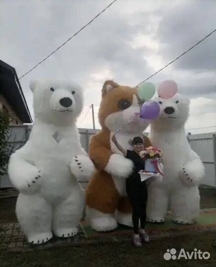 Поздравления огромного танцующего кота и гориллы