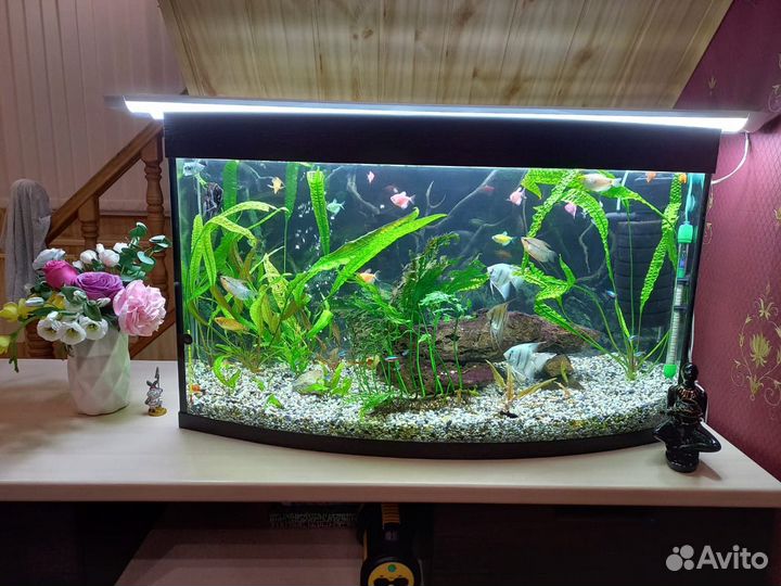 Аквариум