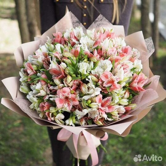 Альстромерия