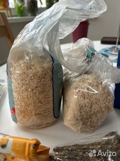 Все для хомяка