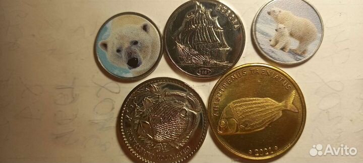 Черногория, Данциг, Болгарское царство,Мадагаскар