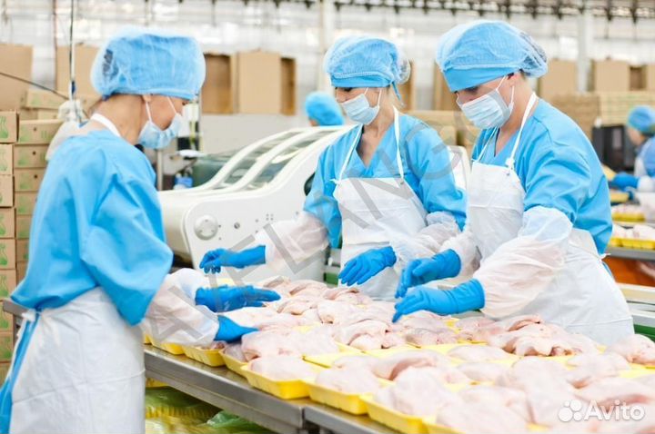 Работа с Жильем в Перми.Операторы обработки