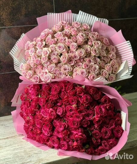 51 кустовая роза