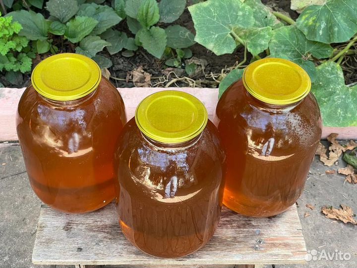 Мед лечебный