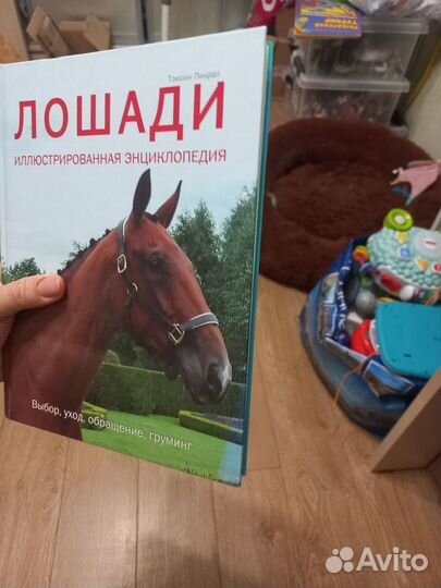 Книги о лошадях энциклопедия