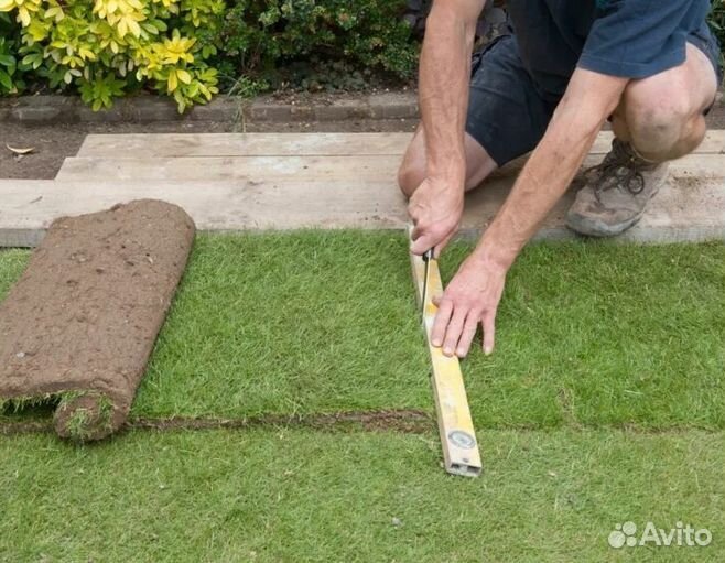 Газон от производителя