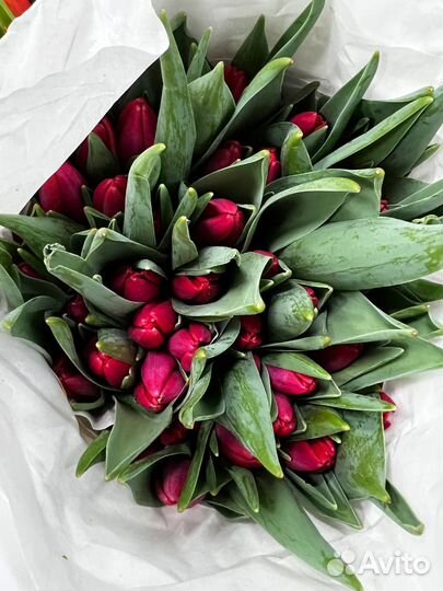 Тюльпаны - букеты цветов и пачками