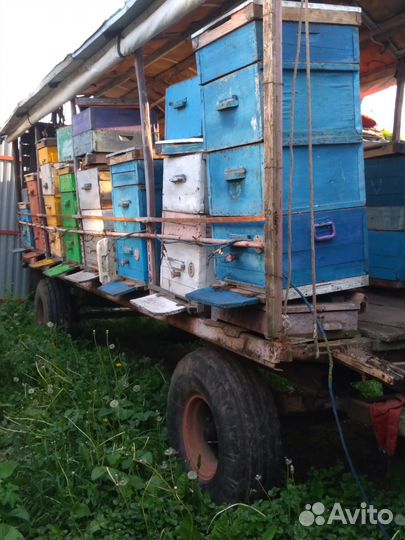 Мёд натуральный