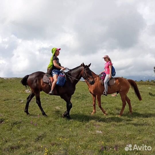 Конные прогулки. Экскурсии на лошадях по Крыму