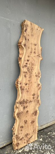 Каповый слэб карагача