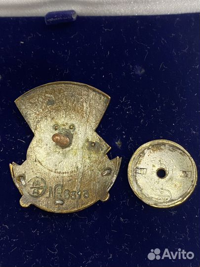 Ранний сборный знак ударник здравоохранения 6313