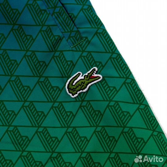 Мужские зеленые шорты для спорта плавания Lacoste