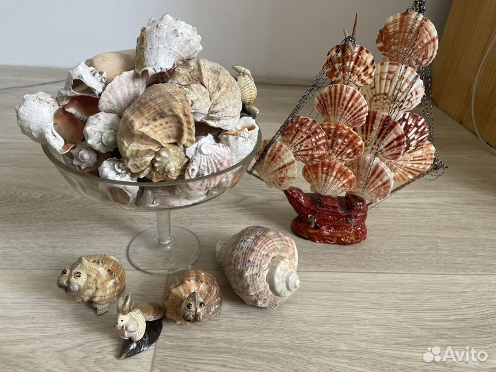 Сувениры из ракушек