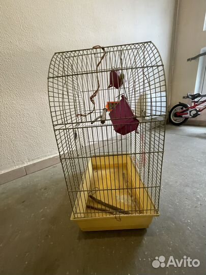 Клетка для попугая корелла