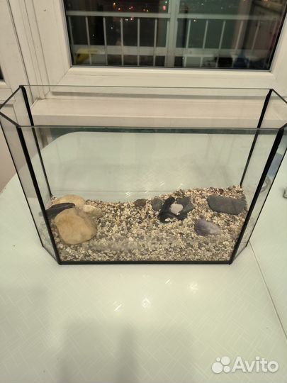 Аквариум