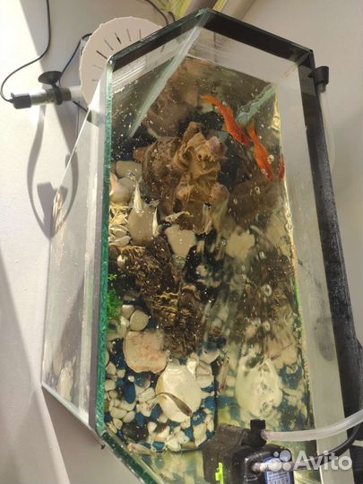Аквариум