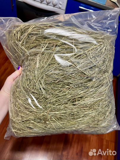 Сено для грызунов