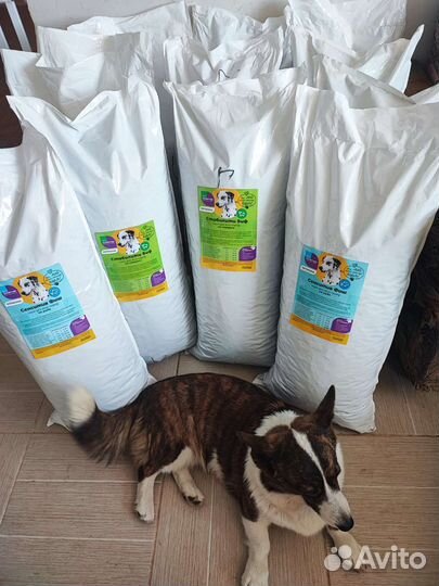 Корм для собак котогава