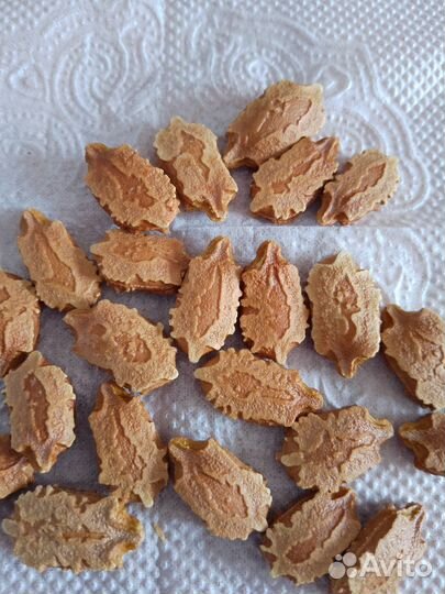 Момордика семена