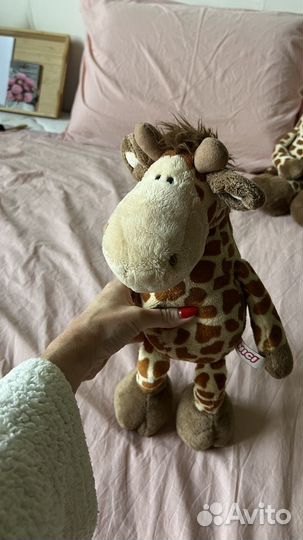 Семья жирафикоа