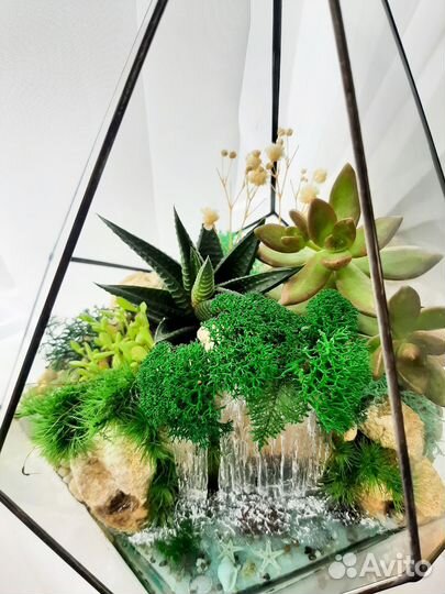 Флорариум с суккулентами Подарок Краснокамск