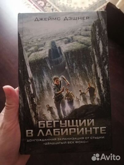 Бегущий в лабиринте