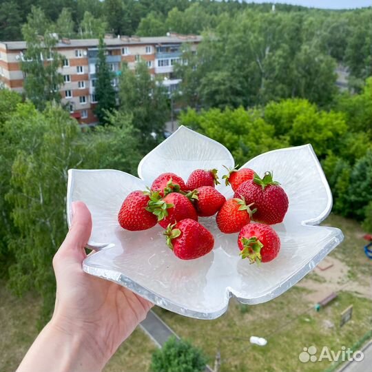 Поднос из гипса