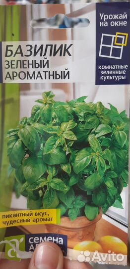 Рассада: базилик и томаты