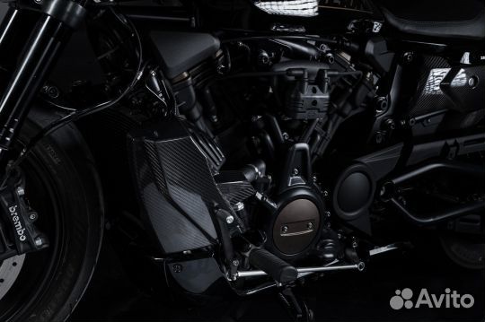 Harley Davidson Sportster S карбоновые элементы